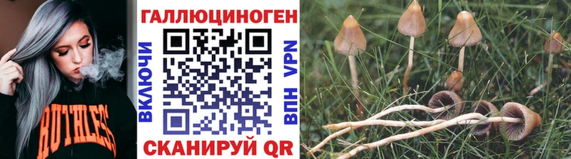 Галлюциногенные грибы GOLDEN TEACHER  Волжск 